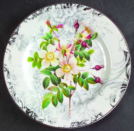 Rose Toile Salad Plate