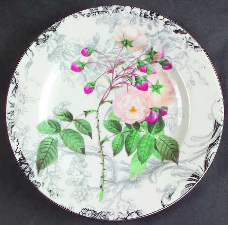 Rose Toile Salad Plate