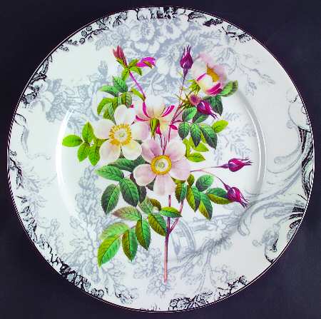 Rose Toile Accent Dinner Plate