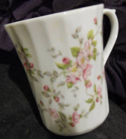 ANX5 Mug