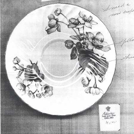 H505 Saucer
