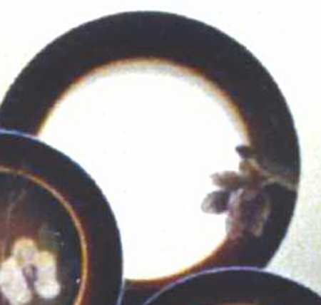 Floral Ecstacy 12" Chop Plate (Round Platter)