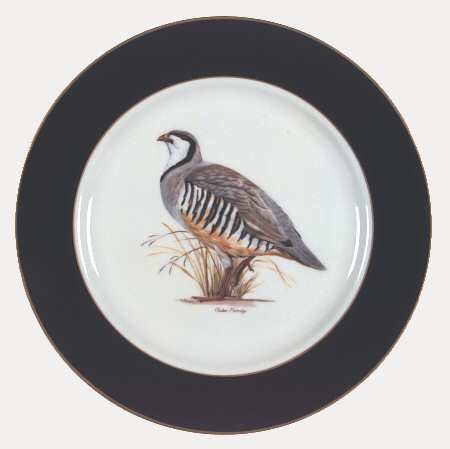 American Game Birds (Rim) Dinner Plate