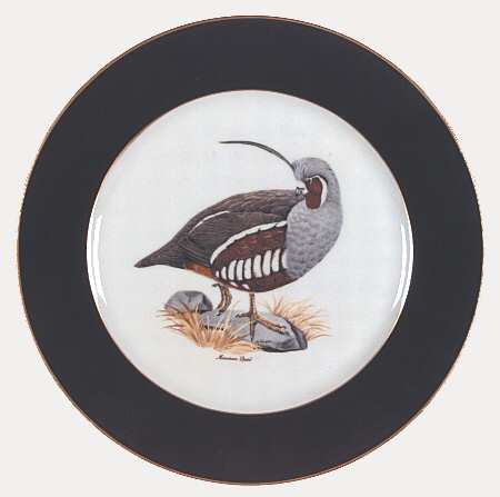 American Game Birds (Rim) Dinner Plate