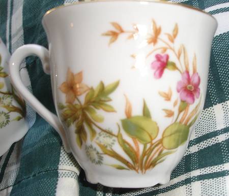 ALT480 Flat Cup
