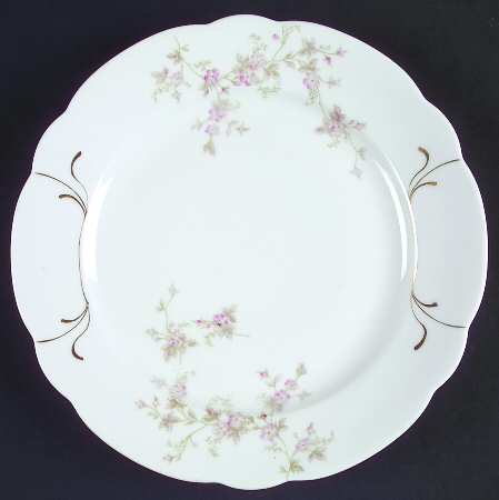 AUS375 Cookie Plate