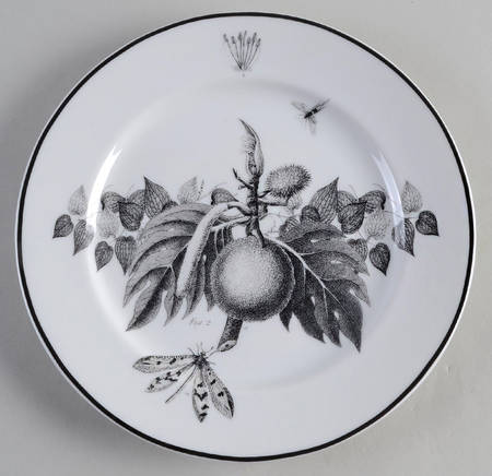 Curio Dessert/Pie Plate