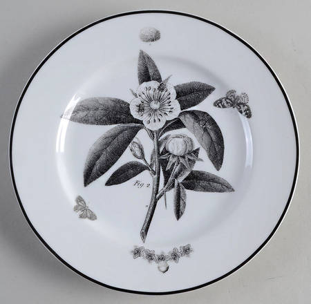 Curio Dessert/Pie Plate