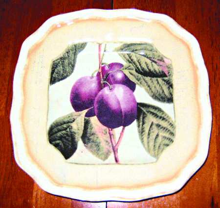 Vintage Fruit by 222 Fifth (PTS)