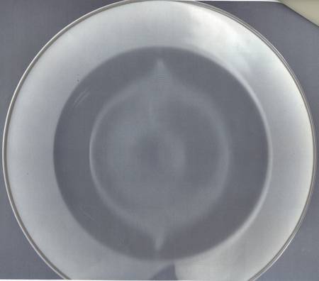 ARZ194 Rim Soup Bowl