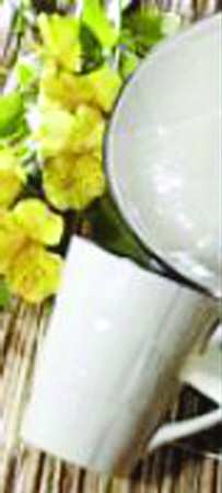 Weave Ivory Mug