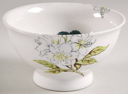 Butterfly Study Soup/Cereal Bowl