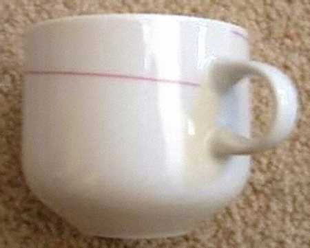 Orion Flat Cup
