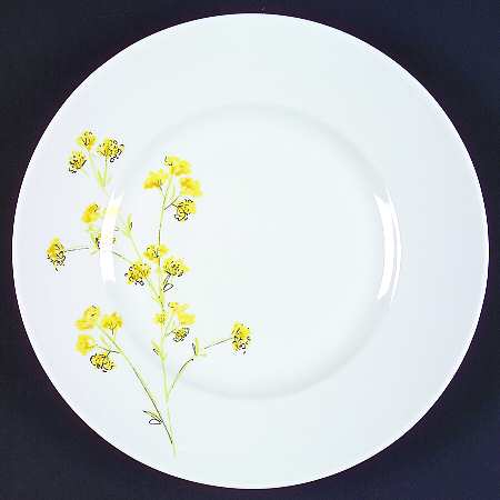 Celeste Salad Plate