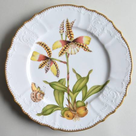 Orchid Dinner Plate