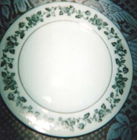 AIC33 Dinner Plate