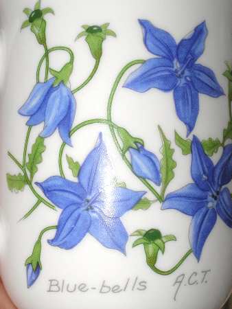 Australian State Flowers by Australian Fine China