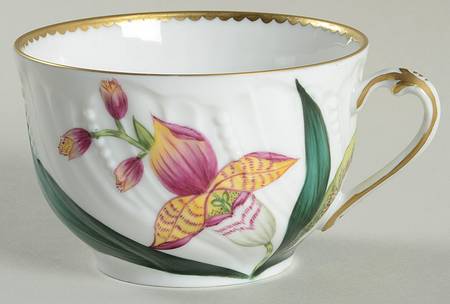 Histoires d'Orchidees Flat Cup