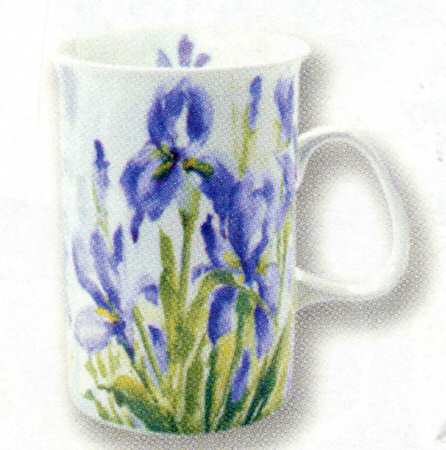 Dutch Iris by Ashdene