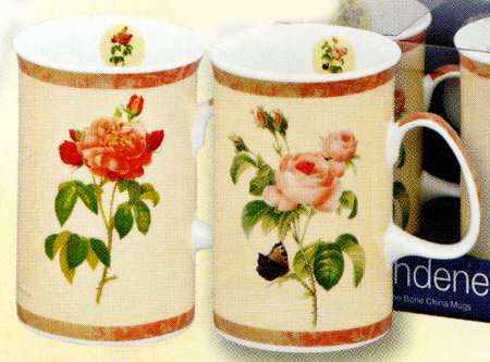 Redoute Rose by Ashdene