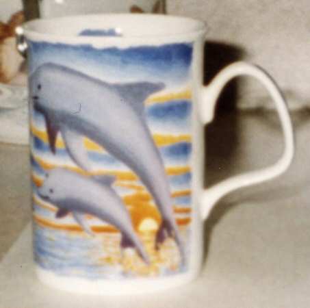 Dolphin Mug