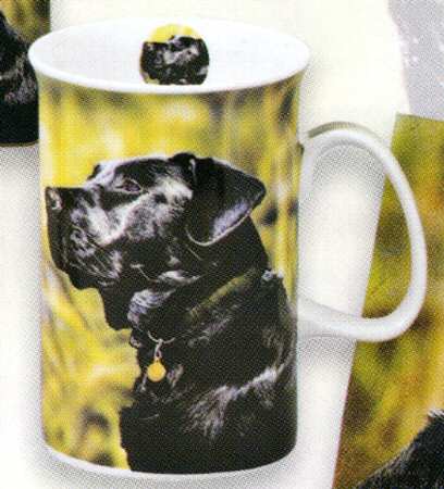 Black Labs by Ashdene