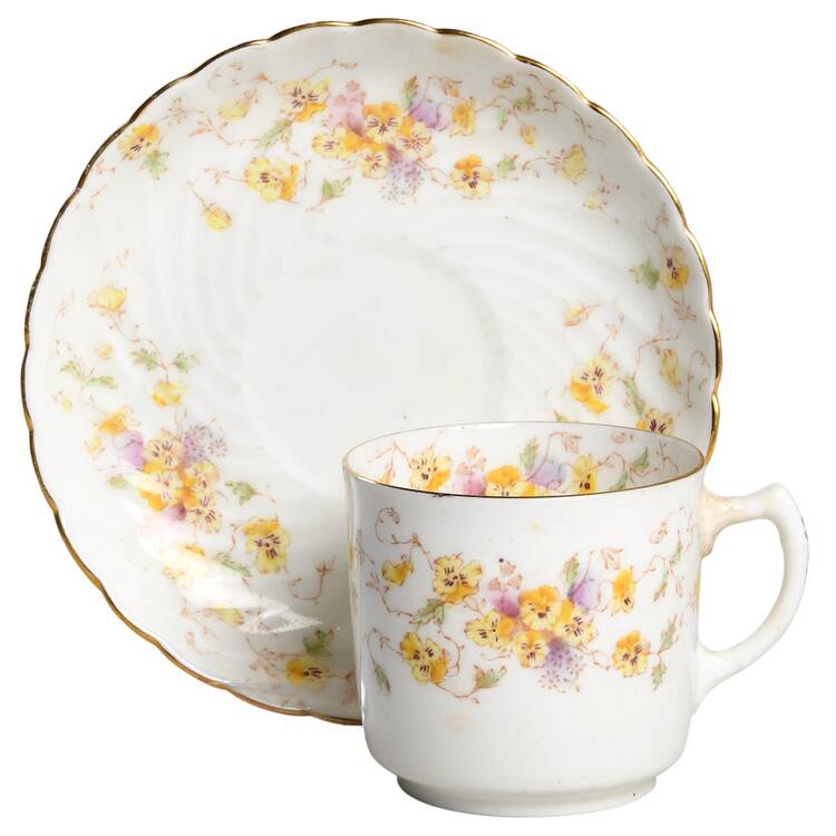 Spray No. 77 Flat Cup & Saucer Set