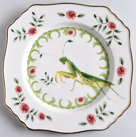 Nature Table Square Salad/Dessert Plate