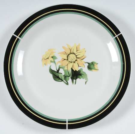 AOI21 Dinner Plate