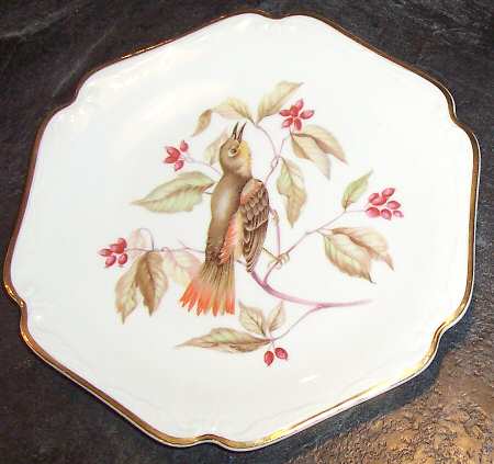 AZO2 Salad Plate
