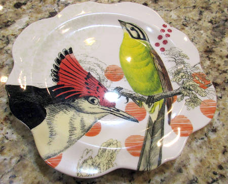 On Safari by Anthropologie