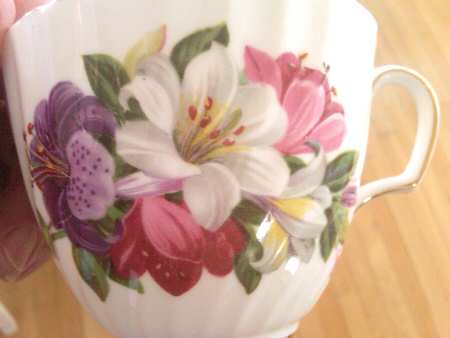H502 Flat Cup