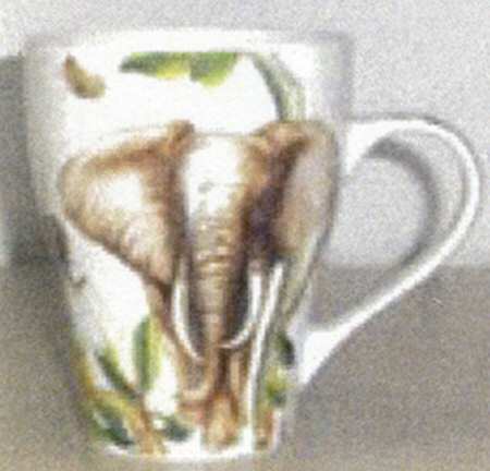 Safari Mug