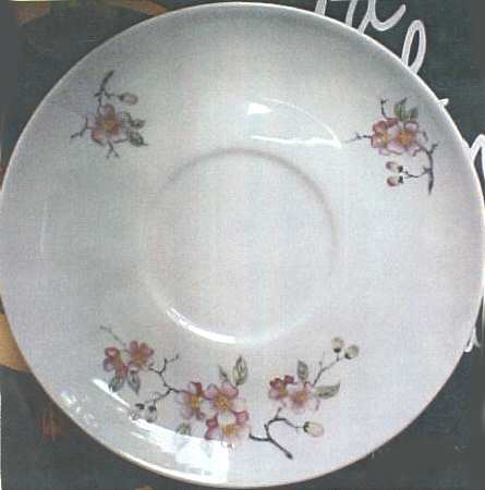 ARZ261 Saucer