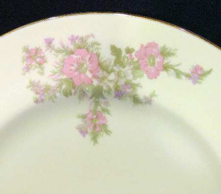 ATS86 Dinner Plate