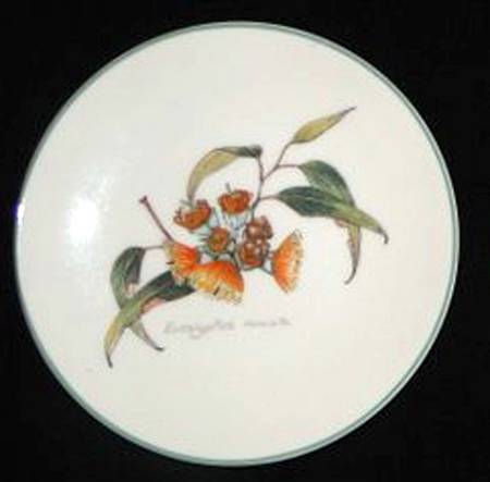 Australian Wildflower Collection by Australian Fine China