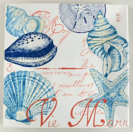 Oceana Coral (Shells) by 222 Fifth (PTS)