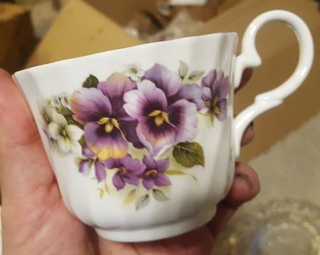 ANX19 Flat Cup