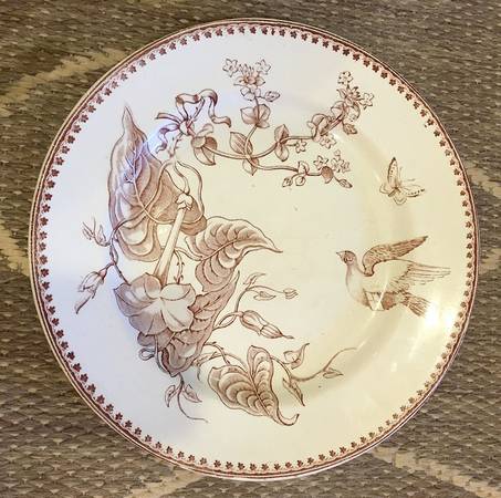 Trentham Brown by Ashworth Bros