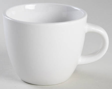 Avesta White Mug