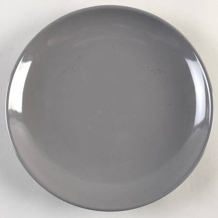 Avesta Gray Dinner Plate