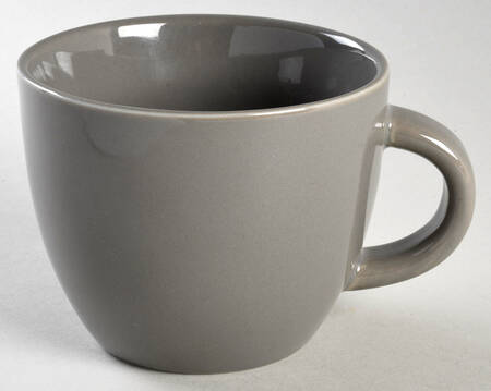 Avesta Gray Mug