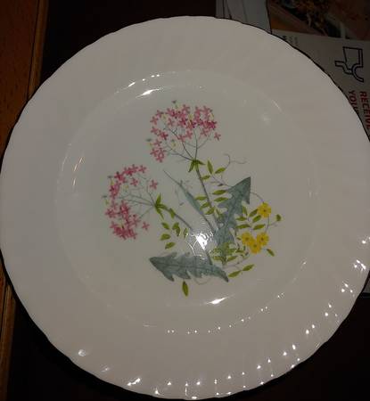 Primrose by Adderley
