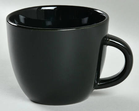 Avesta Black Mug