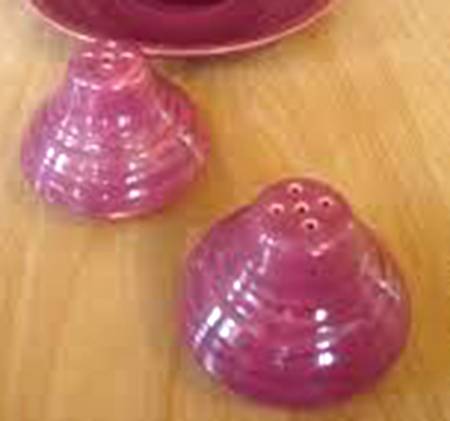 Ring Burgundy Salt & Pepper Set