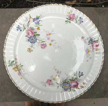 BER107 Dinner Plate