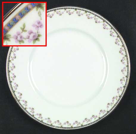 BER11 Dinner Plate