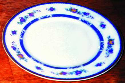 BER111 Dinner Plate