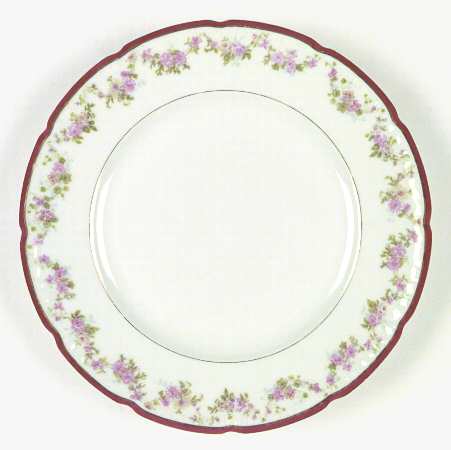 BER13 Dinner Plate