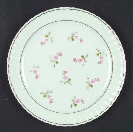 BER47 Salad Plate
